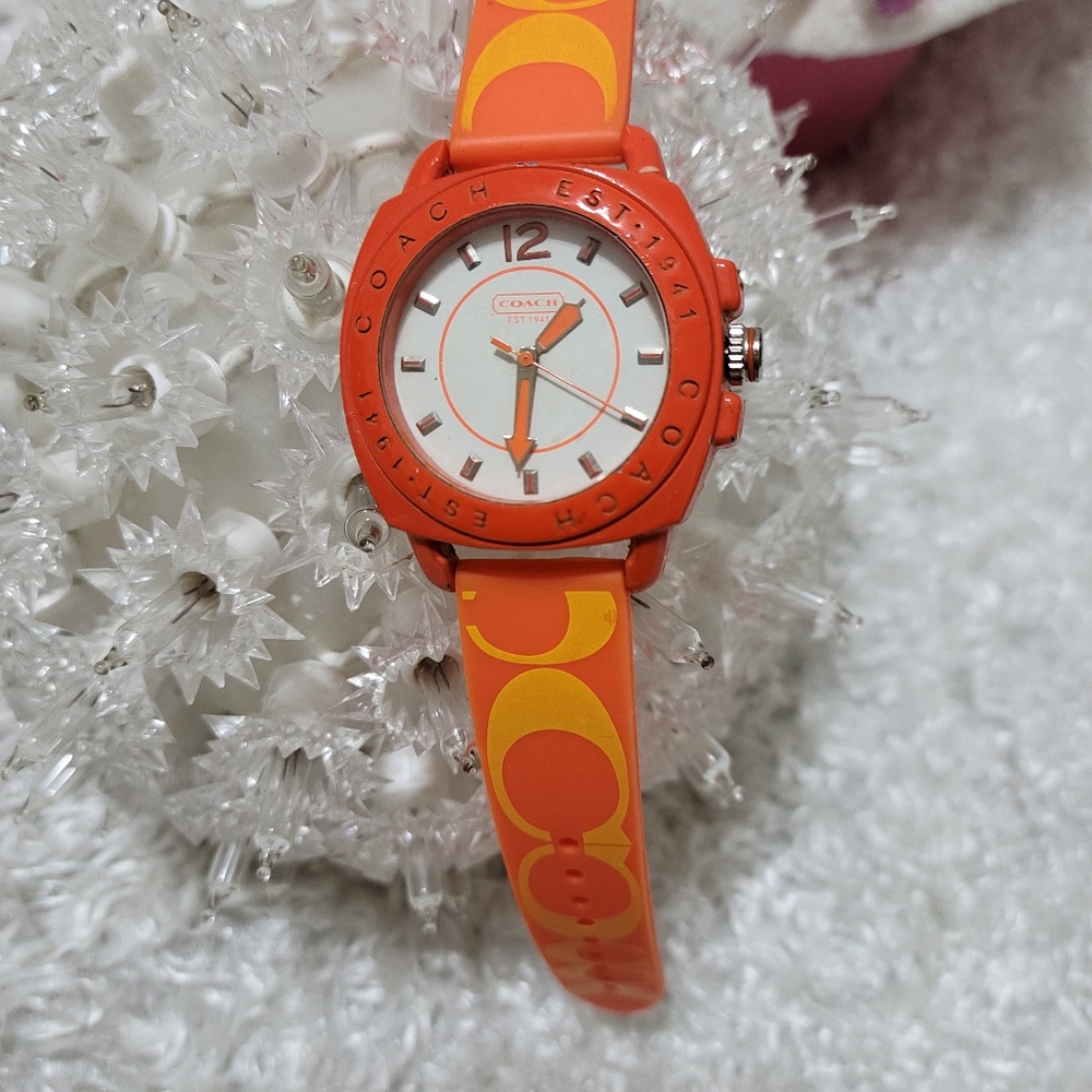 Coach Watch - Picture 4 of 8